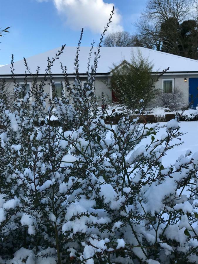 A Selection Of Self Catering Homes At Kilcloon Maynooth